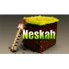 Neskah Profile Pic2
